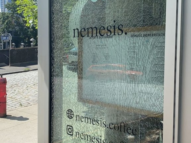 nemesis glass door project